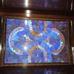 Serving tray decorated with a kaleidoscope of luminescent blue butterfly wings.