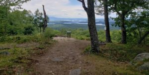 Hikers Club:  Mount Robert’s First Viewpoint Hike