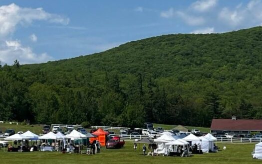 Community Arts Festival at Castle in the Clouds