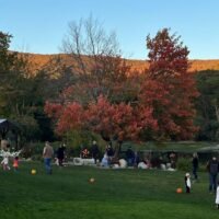 Pumpkin Walk