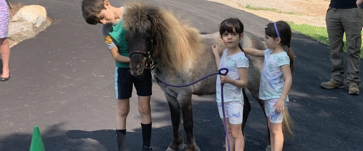 Young children walk with a miniature horse