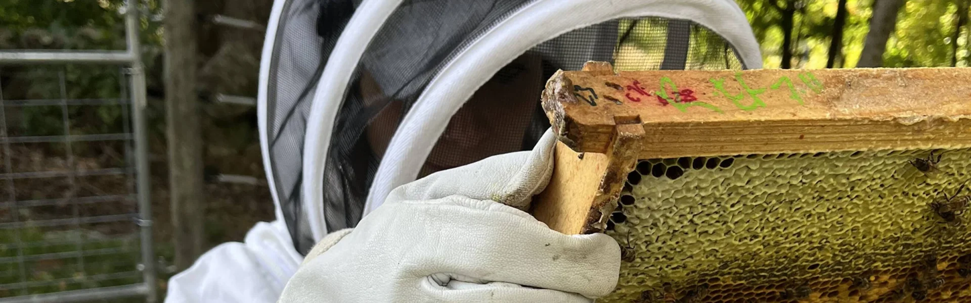 Bewitched Acres Beekeeping