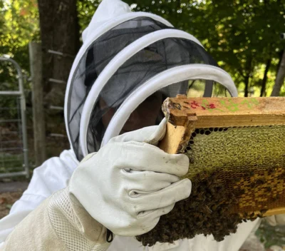Bewitched Acres Beekeeping