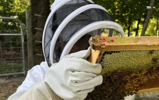 Bewitched Acres Beekeeping