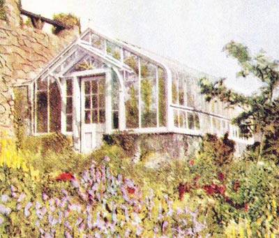 the greenhouse