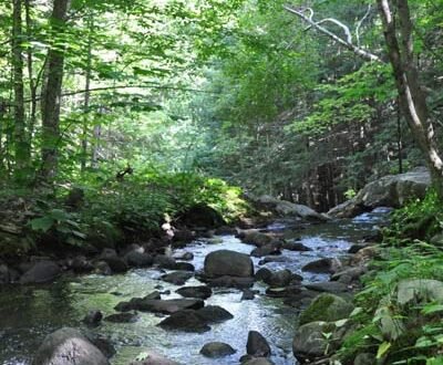 Hiking trails