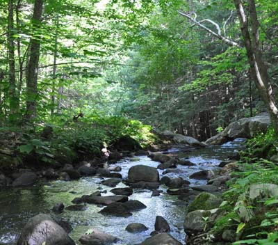 Hiking trails