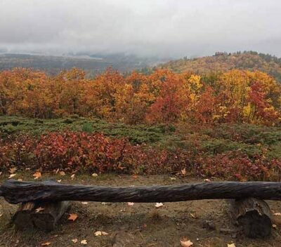 View from the Trails - Indigenous